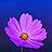 Avatar de Amazon Customer